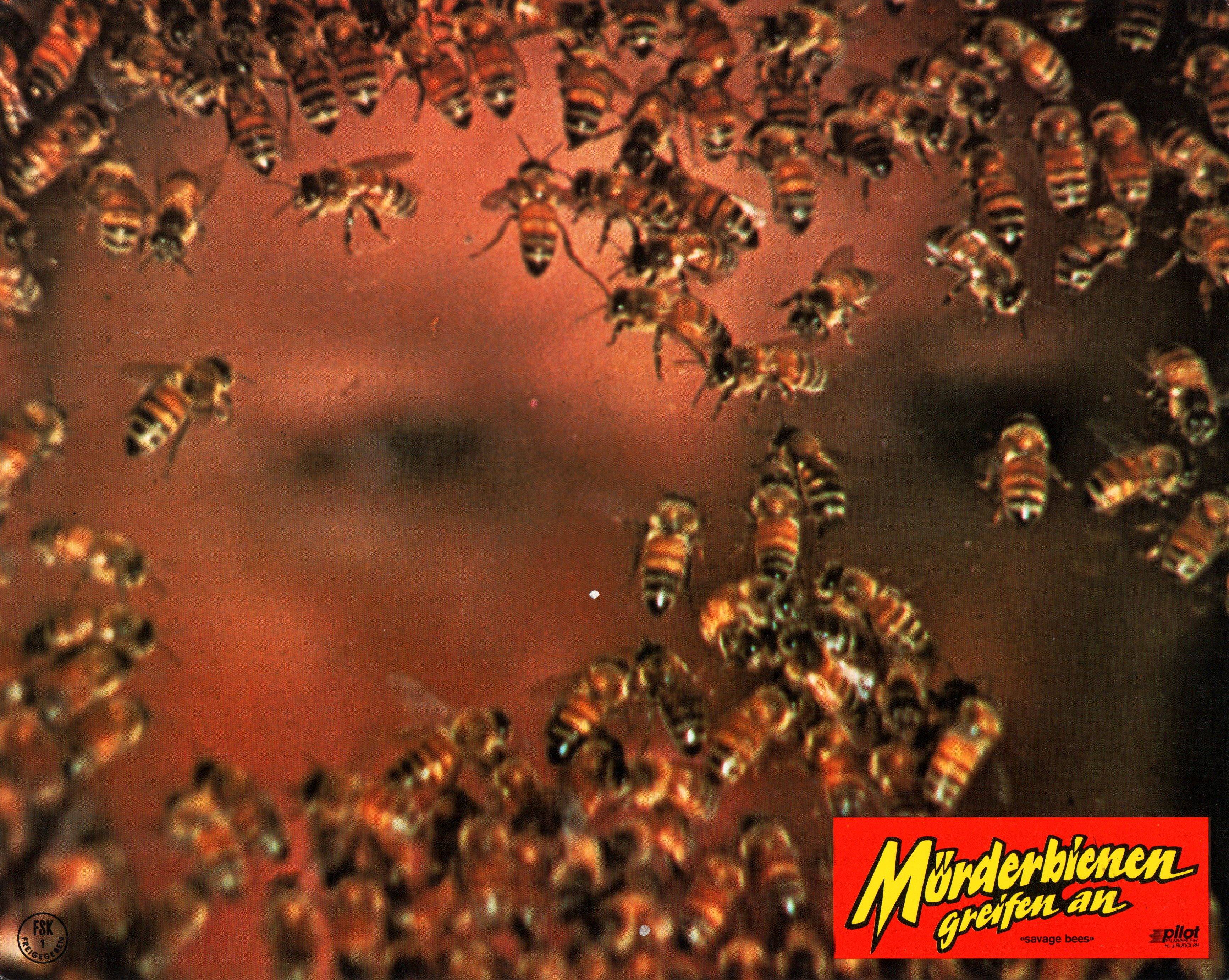 Mörderbienen greifen an (The Savage Bees)