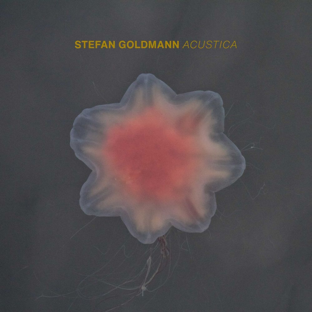 Goldmann, Stefan - Acustica