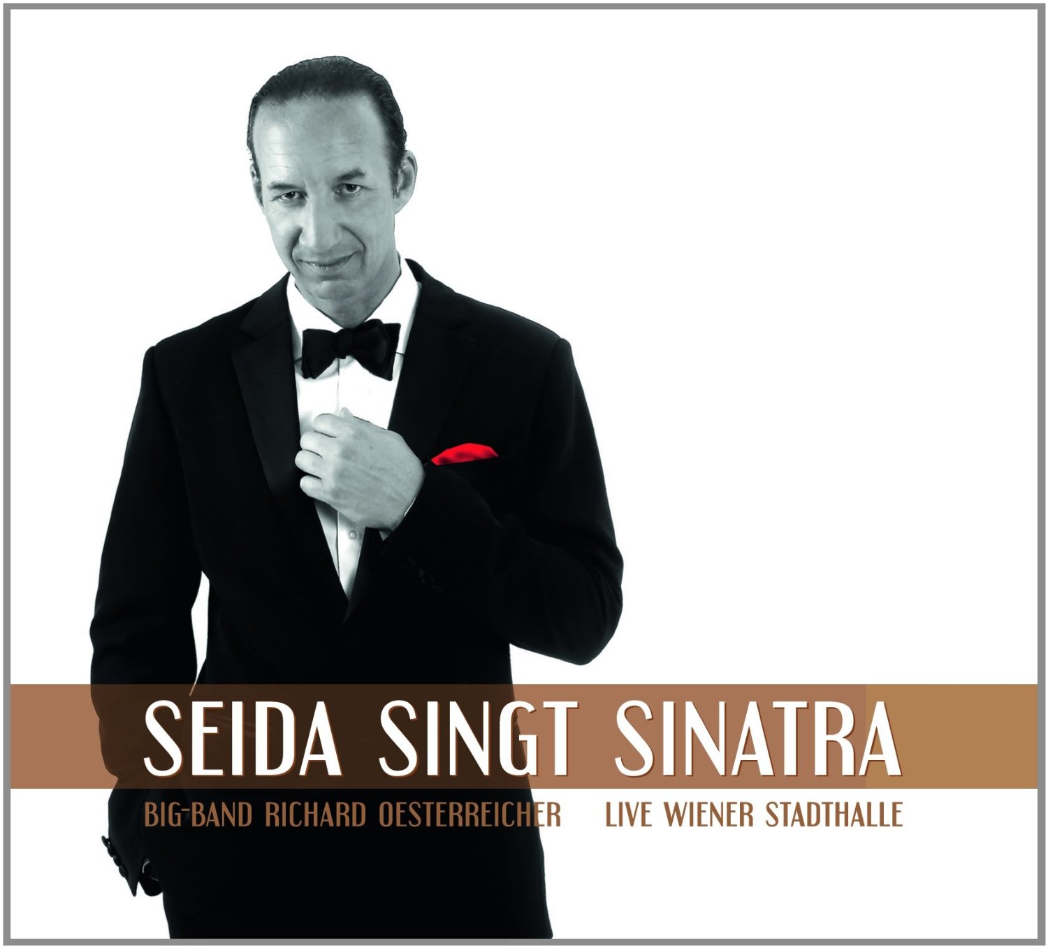 Seida, Michael - Seida Singt Sinatra 