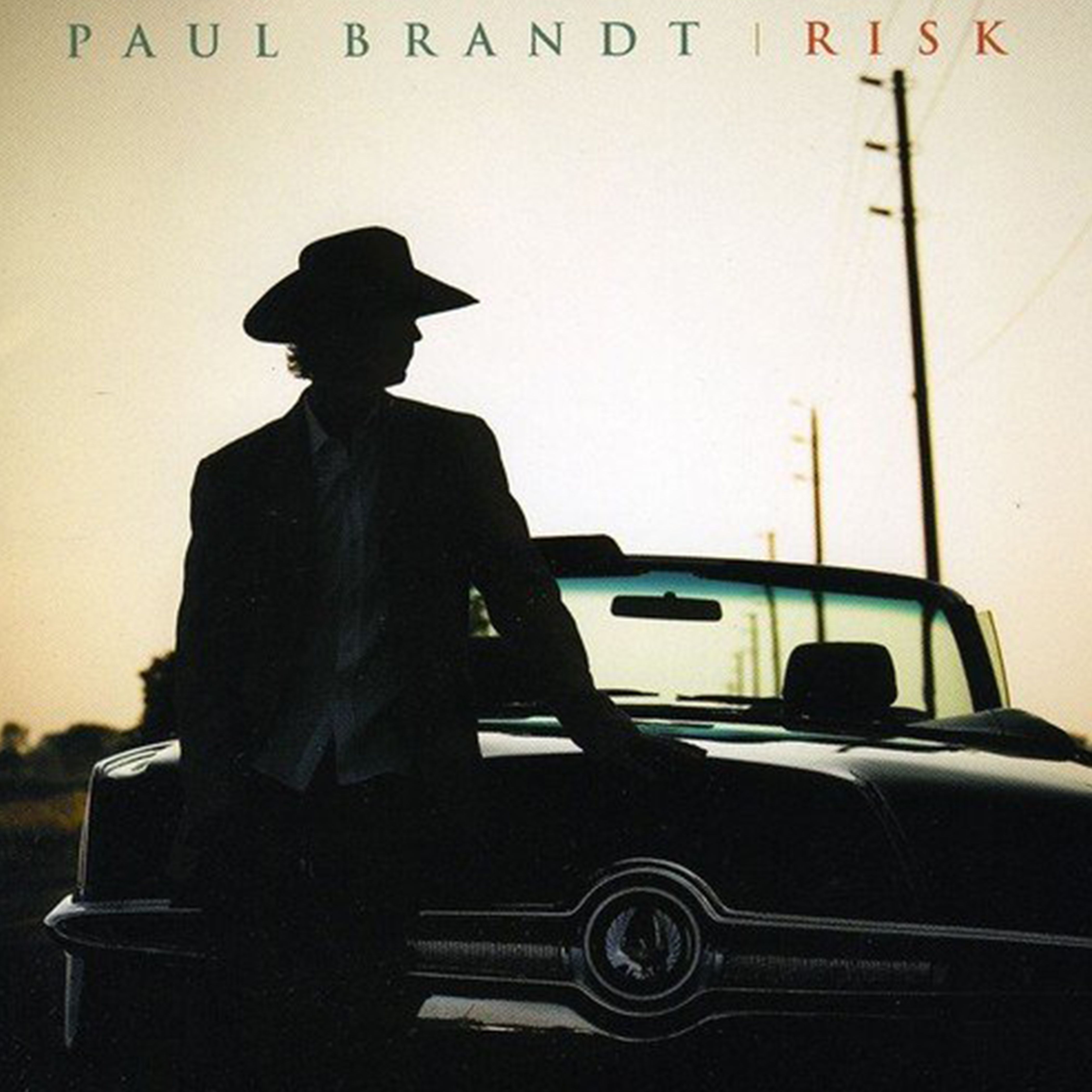 Brandt, Paul - Risk
