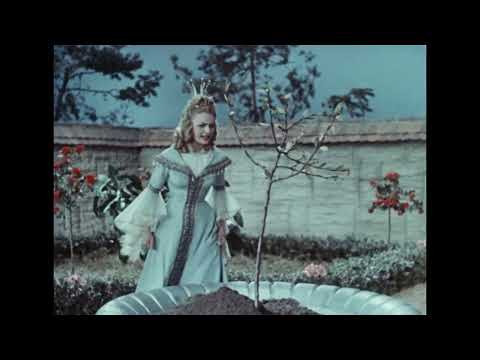 Das singende, klingende Bäumchen (1957) (Filmjuwelen / DEFA-Märchen)